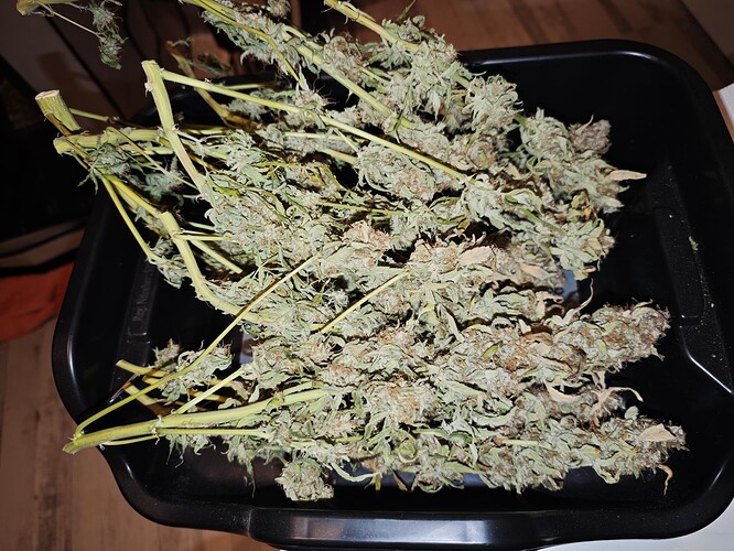 MVIMG_20251209_163220