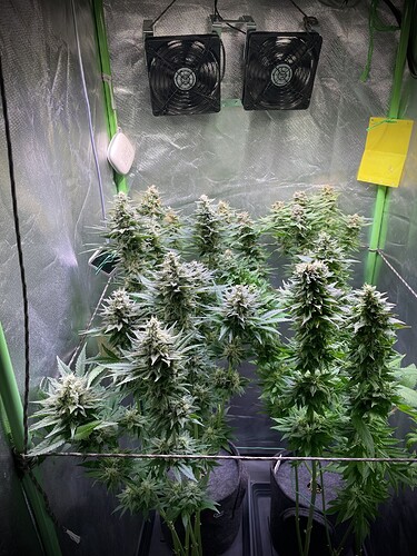 Growreport Bild 2