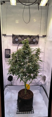 Growreport Bild 8