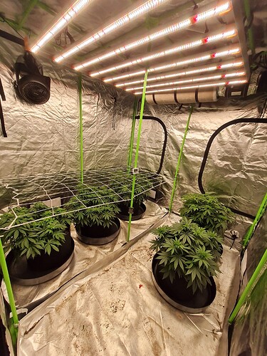 Growreport Bild 15