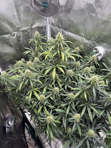 Growreport Bild 8