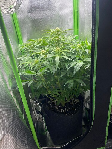 WhatsApp Bild 2024-05-04 um 10.14.24_37deda84