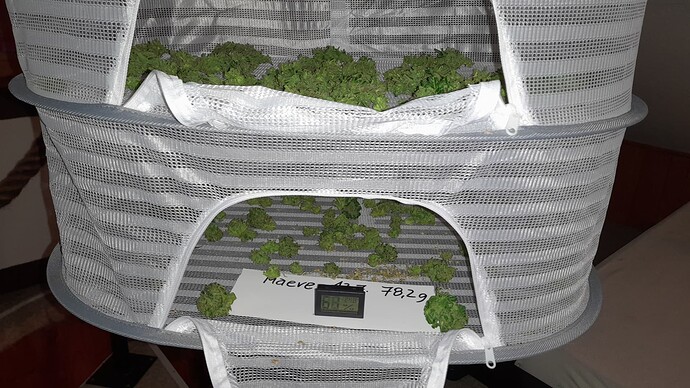 Growreport Bild 73