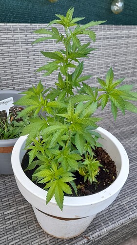 Growreport Bild 10