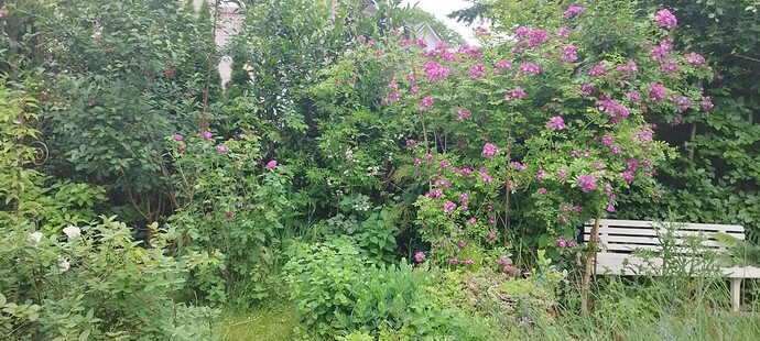 Growreport Bild 16
