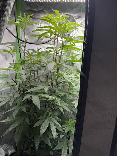 Growreport Bild 11