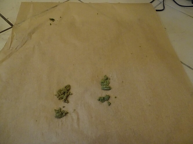 Growreport Bild 33