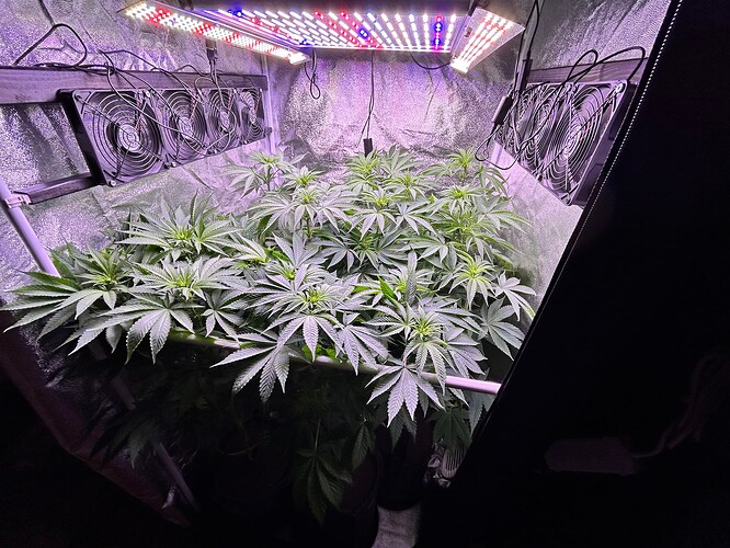 Growreport Bild 8