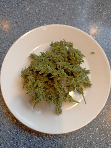 Growreport Bild 4