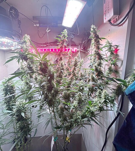 Growreport Bild 6