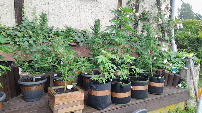 Growreport Bild 50