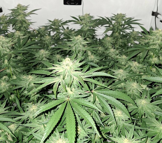 476349261_122166343802293599_9212188238171502528_n