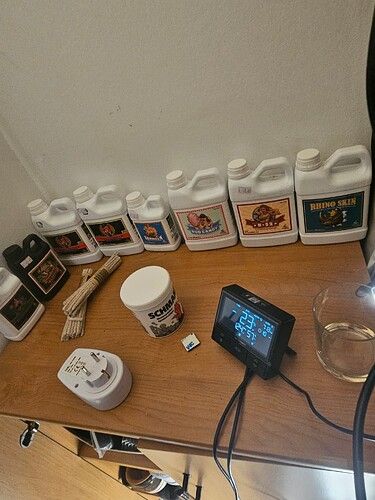 Growreport Bild 6