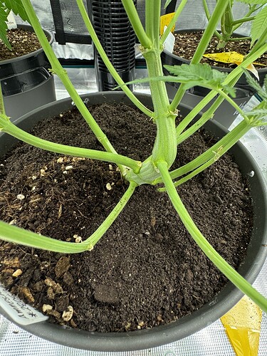 Growreport Bild 17