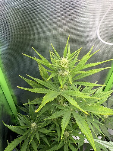 Growreport Bild 15