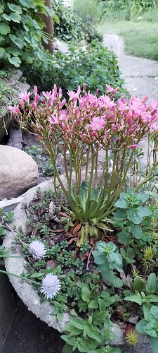 IMG_20240517_212111