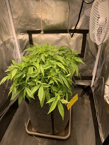 Growreport Bild 5