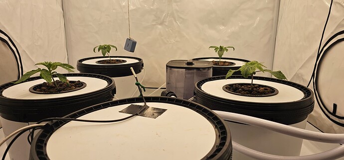 Growreport Bild 4