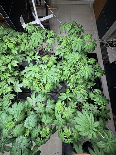 Growreport Bild 21