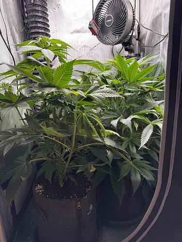 Growreport Bild 1