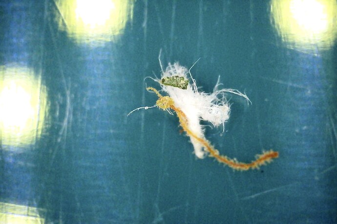 Foto am 27.06.24 um 17.08