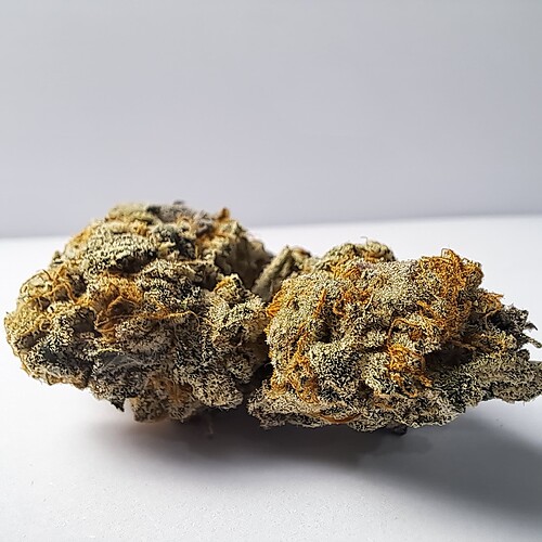 Growreport Bild 34