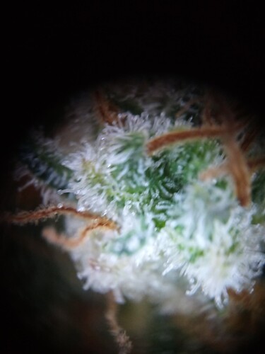 Growreport Bild 22