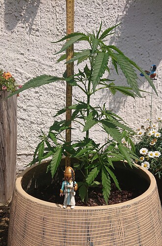 Growreport Bild 12