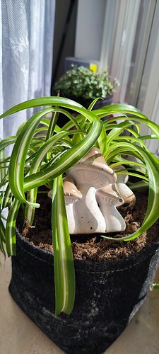 Growreport Bild 14