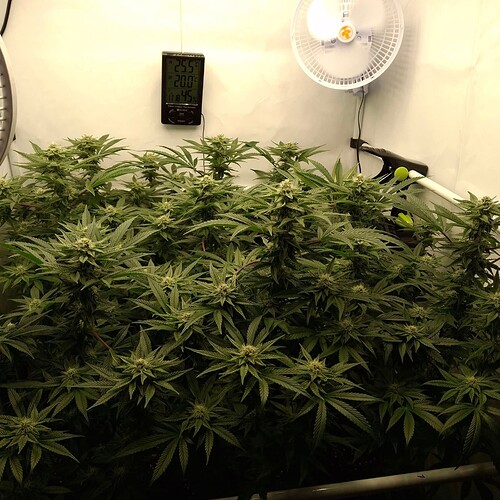 475457714_122166059792293599_804321774704518378_n