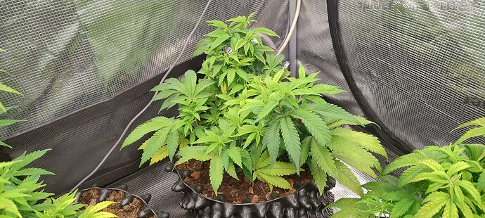 IMG_20251021_102753549_HDR