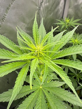 Growreport Bild 11
