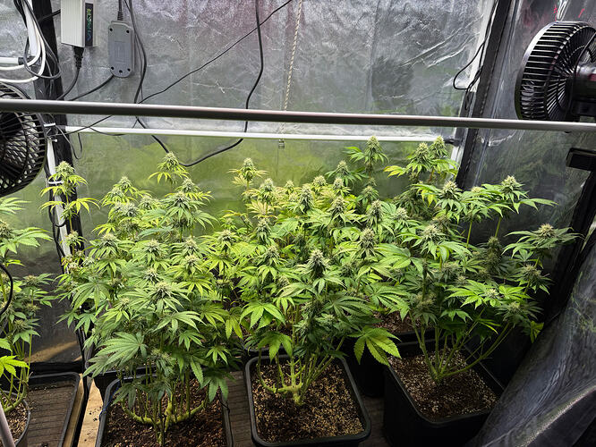 Growreport Bild 11