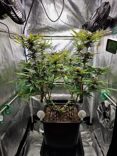 Growreport Bild 11