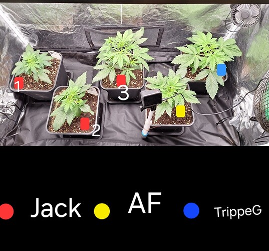Growreport Bild 2