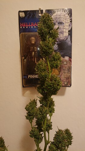 Growreport Bild 34