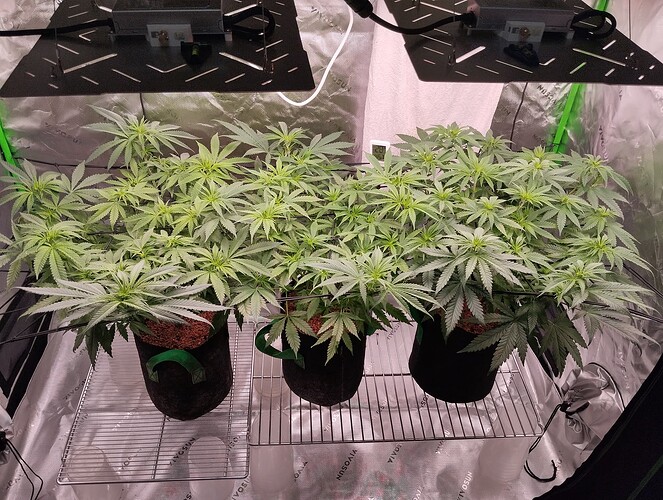 Growreport Bild 11