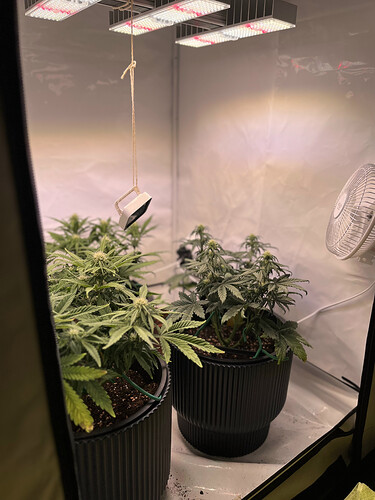 Growreport Bild 12