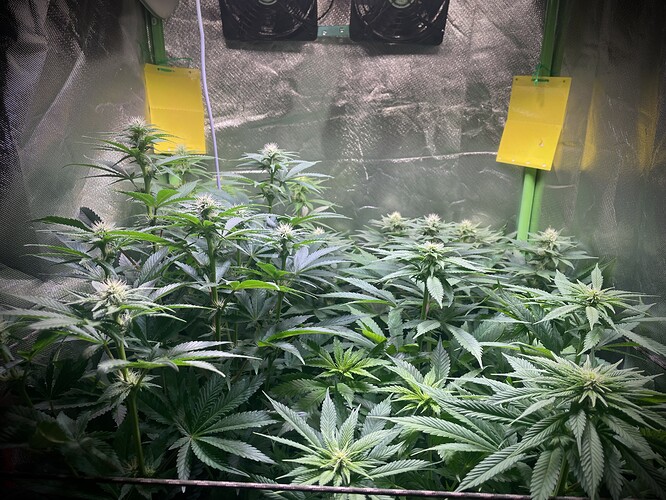 Growreport Bild 7