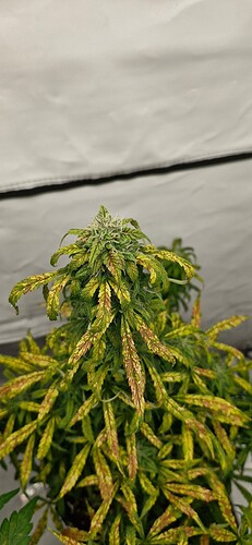 Growreport Bild 13