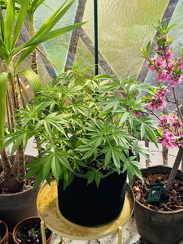 Growreport Bild 2
