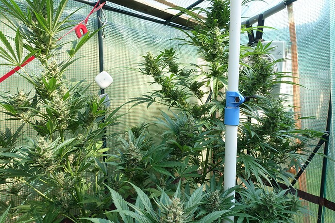 Growreport Bild 11