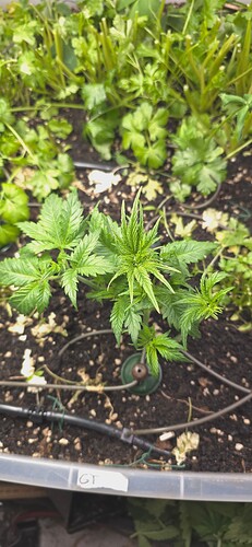 Growreport Bild 10