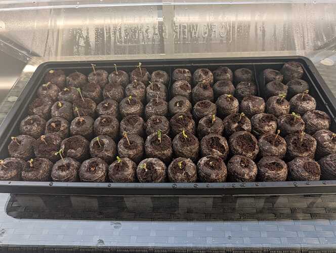 Growreport Bild 12