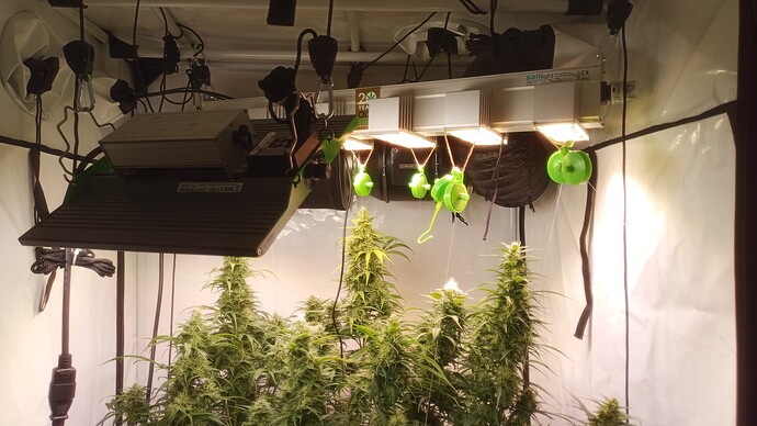 Growreport Bild 2