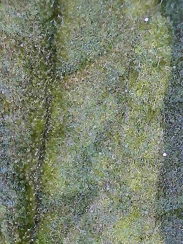 2025-07-27-19-12-20-956