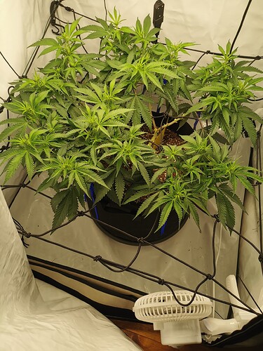 Growreport Bild 4