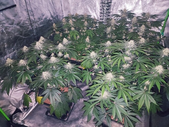 Growreport Bild 14
