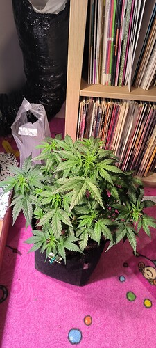 Growreport Bild 12