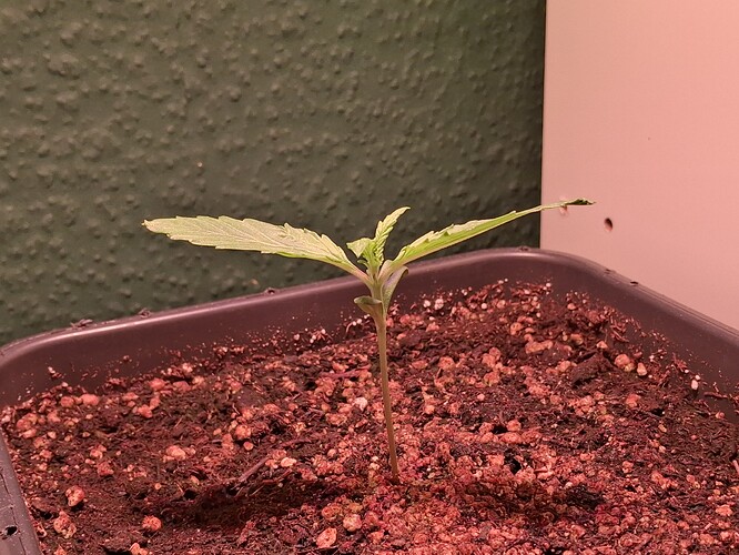 Growreport Bild 6
